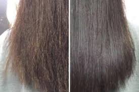 To prepare this home remedy: After Washing My Hair Should I Blow Dry Or Naturally Dry Did The Girls Do Everything Right Daydaynews