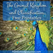 The Animal Kingdom And Classification Free Printables