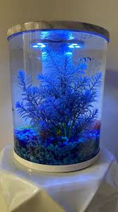 Top selected products and reviews. Top Fin Oasis Vivid View 360 Aquarium 3 Gallon Fish Aquariums Petsmart