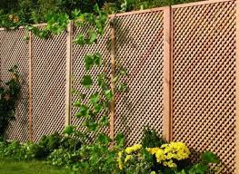 Gartenzaun Bau Gitterzaun Holz Kletterpflanzen Efeu Garten Gartenzaun Und Zaun