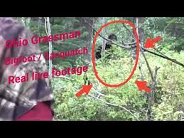 In the case of this article, villains are for the culprits behind the monster scam. Is Mountain Monsters Real What To Know About The Show S Creatures