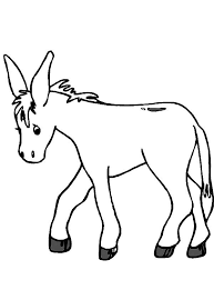 It also includes information about different species of zebra. Donkeys Coloring Pages Coloring Home