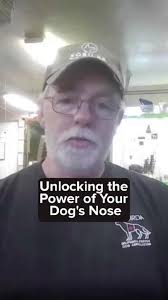 Unleashing Your Dog's Scent Detection Skills