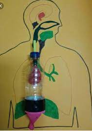 Media pembelajaran berfungsi untuk menjelaskan atau. Merancang Modul Lks Media Dan Alat Peraga Pembelajaran Ipa Sd Pdf Download Gratis