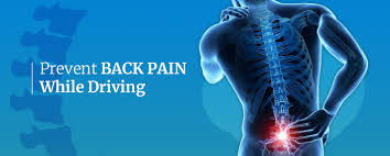 The musculoskeletal system provides form to the body and allows the body to move and maintain its posture. Prevent Back Pain While Driving Spine Ina