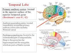 We did not find results for: Dr Zeenat Zaidi Dr Essam Eldin Salam Ppt Video Online Download