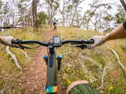 The mountain bike can be obtained from nook's cranny for 5100 bells. Features Archive Flow Mountain Bike Archive Flow Mountain Bike