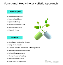 Image result for Higher Integrative Function