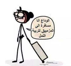 by هههههههههه funny arabic quotes good morning arabic cute quotes