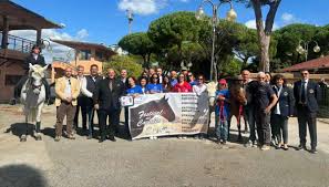 Festival del Cavallo: l'ippodromo del Casalone riapre le porte