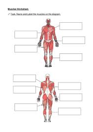 Massage can therefore improve symptoms associated with the functioning of both the organ and the muscles. Muscles Name The Muscle Teaching Resources