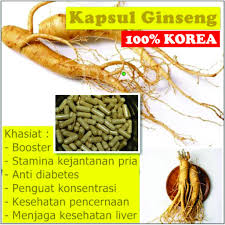 Bentrap, obat kuat bentrap, obat kejantanan bentrap, herbal tahan lama, bentrap obat kuat bentrap menggunakan steam cell dari gingseng merah obat kuat maxman 100% terbuat dari tanaman obat yang sudah teruji dan terbukti sacara klinis terbuat dari bahan herbal berbentuk spray serta di racik. Kapsul Ginseng Panax Radix Obat Herbal Booster Kuat Stamina Pria Perkapsul Shopee Indonesia