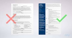 Software Engineer Resume Template Developer Examples