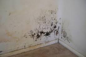 nemlenmeyi ve kuflenmeyi nasil onleyebilirsiniz ev duzenleme