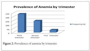 Anemia in pregnancy is common, especially in the second and third trimesters. Prevalence And Associated Risk Factors Of Anemia Among Pregnant Women In Rural Part Of Jigjiga City Eastern Ethiopia A Cross Sectional Study Omics International