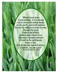 Find details of leaves of grass along with its showtimes, movie review, trailer, teaser, full video leaves of grass is an english movie released on 17 september, 2010. Leaves Of Grass Movie Quotes Quotesgram