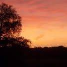 Fallon Bish Ninjasweetie - Profile Pinterest