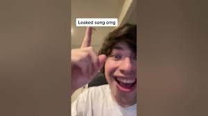 GeorgeNotFound just accidentally leaked Dream's new song 😱 (now deleted)