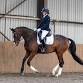 CHAMPIONSHIPS - Winter Dressage AND Dressage to Mu... event in Grantham