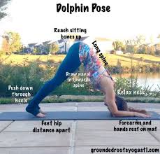 Image3 Jpg 553 530 Dolphin Pose Flexibility Workout Poses