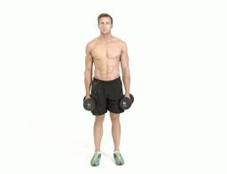 Una tabla ilustrada con los ejercicios clave para entrenar con este tipo de accesorio y todo lo que debes saber antes de. 10 Ejercicios Con Mancuernas Para Quemar Calorias Y Ganar Fuerza