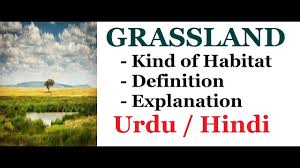 Habitat add to list share. Grassland Ecosystem Kind Of Habitat Urdu Hindi Youtube