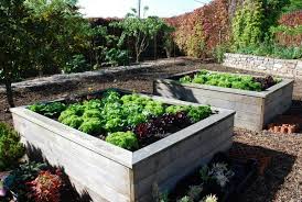 Le Potager Carre Ou Potager Sureleve Facile
