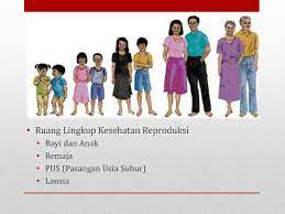 Definisi kesehatan reproduksi yang ditetapkan dalam konferensi internasional kependudukan dan pembangunan (international conference on population and development/ icpd) adalah kesejahteraan fisik, mental, dan sosial yang utuh, bukan hanya tidak adanya penyakit atau kelemahan, tetapi dalam. Ruang Lingkup Kesehatan Reproduksi Dalam Siklus Kehidupan Ppt Download