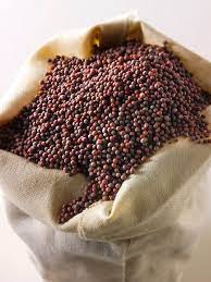 It will tolerate cold weather. A Mustard Seed The Smallest Of Seeds But When It Is Grown It Is Larger Than All The Garden Plants Spices And Herbs Spices Kitchen Spices