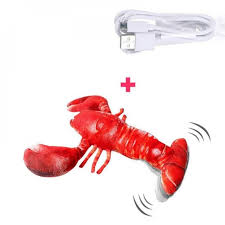Maybe you would like to learn more about one of these? Pretty Comy Cat Toy Simulation Lobster Toy Catnip Usb Charging Lobster Red Walmart Com Walmart Com