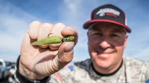 Top 10 Baits from Lake Havasu