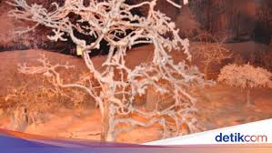 6,711 likes · 32 talking about this · 14 were here. Serunya Menikmati 4 Musim Berbeda Di Malaysia