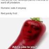 25+ best memes about chili | chili memes. 1