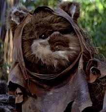 Ewok They Re Just So Cute Ewoks Star Wars Star Wars Species Star Wars Images