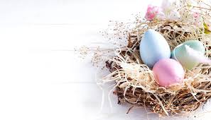 Danach geben wir die lebensmittelfarbe oder eierfarbe ins warme wasser (etwa 60 osterkorbchen basteln anleitung vorlagen fur osternester. Osternest Basteln Ideen Und Anleitungen