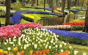 Wow di pvj bandung ada taman bunga matahari kaya di luar negeri guys follwo instagram jalan jalan sebentar dg genk di bandung. Tour Bandung Wisata Bandung Paket Wisata Bandung Terbaru 2021