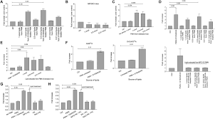 How to use tumor in a sentence. Reactivation Of Dormant Tumor Cells By Modified Lipids Derived From Stress Activated Neutrophils Science Translational Medicine