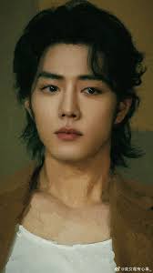 Xiao Zhan's charming appearance and personality traits