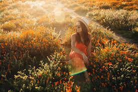 Maybe you would like to learn more about one of these? View The Colorful California Poppy Super Bloom Of Antelope Valley Chrissi Hernandez