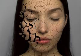 Barbara Farkas's Instagram, Twitter & Facebook