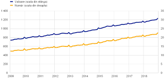 Piatra neamt pâna la data de 7. Raport Anual 2018