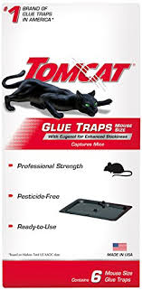 If you are reading this article, probably your home is already invaded by an unwelcome guest. The 9 Best Mouse Traps Of 2021