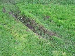 How To Detect A Water Leak In The Irrigation System Dengarden