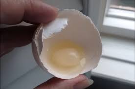 Use pam spray to coat the pan before adding the i wanted to add one thing regarding how you separate eggs (egg whites from the yolks). How A Chicken Lays An Egg Inside Of An Egg Backyard Poultry
