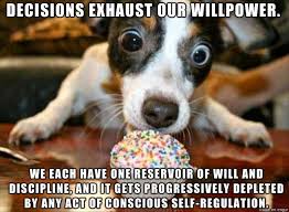 Decision Making Meme Google Search Funny Dog Pictures Cute Puppies Funny Animal Pictures