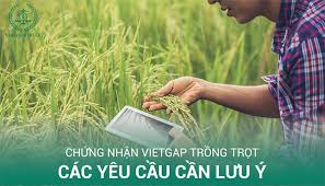 Chứng nhận VietGAP trồng trọt - Các yêu cầu cần lưu ý