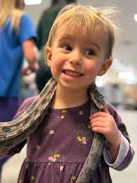 Snakes, spiders, and gators, oh my! Join us tomorrow and experience the  thrill of meeting snakes, alligators, and spiders at Windsor Hills! Animal  experts from Gatorland will educate and let you interact