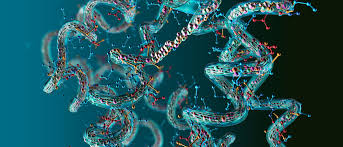 Caitlin erin o neil nudes Go on to discover millions of