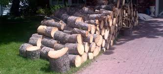 (and we'll pay for your next chimney cleaning). Mol Tree Service Ltd Calgary Firewood Pick Up Calgary Tree Company