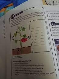 Maybe you would like to learn more about one of these? Apa Semua Jawaban Dari Soal Ipa Kelas 7 Semester 2 Halaman 16 Kurikulum 2013 Edisi Revisi 2016 Brainly Co Id